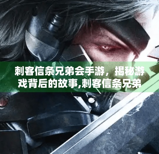 刺客信条兄弟会手游，揭秘游戏背后的故事,刺客信条兄弟会手游九游