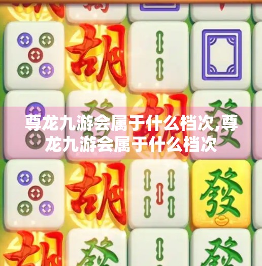 尊龙九游会属于什么档次,尊龙九游会属于什么档次